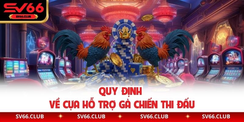 Quy định về cựa hỗ trợ gà chiến thi đấu