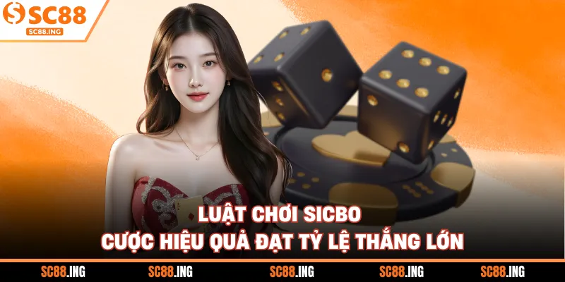 Luật Chơi Sicbo - Cược Hiệu Quả Đạt Tỷ Lệ Thắng Lớn